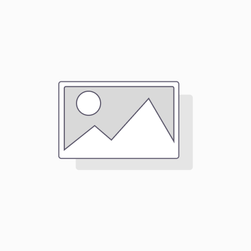 FILTRO DE AIRE PARA VECTOR